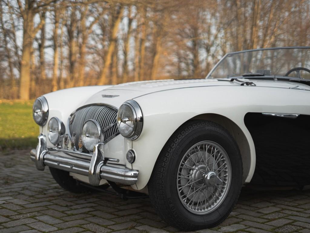 1955 Austin - Healey 100/4