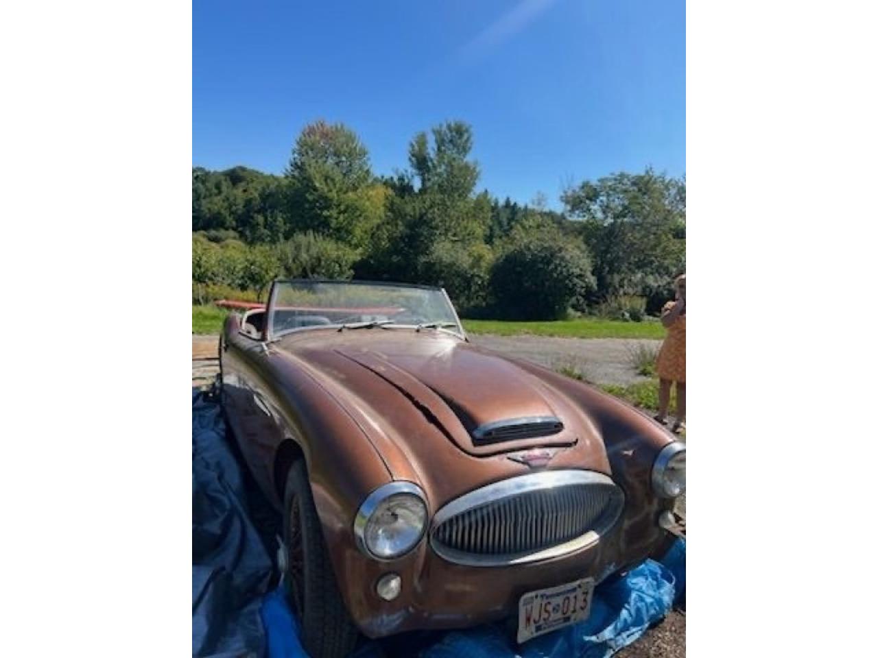 1961 Austin - Healey 3000