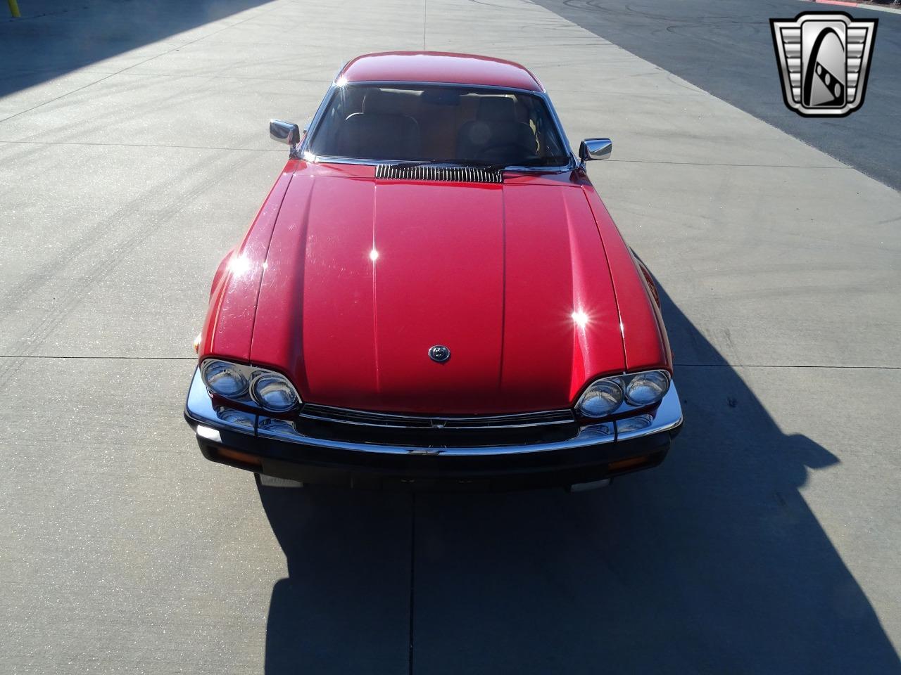 1983 Jaguar XJS