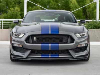 2016 Ford Shelby GT350