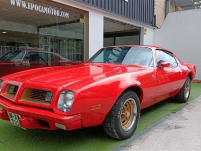 1975 Pontiac Firebird Esprit