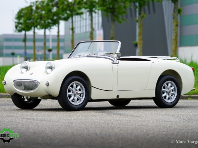 Austin Healey Sprite Mk1 Frogeye