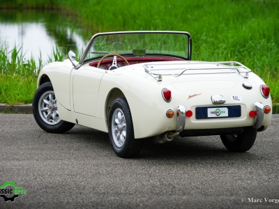 Austin Healey Sprite Mk1 Frogeye