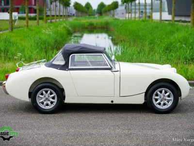 Austin Healey Sprite Mk1 Frogeye