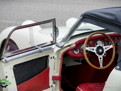 Austin Healey Sprite Mk1 Frogeye