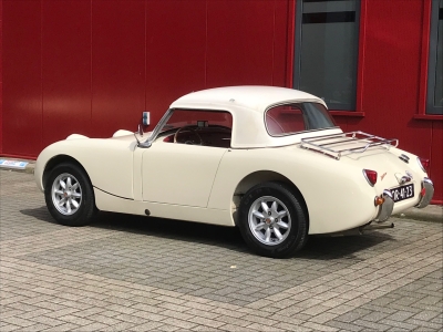 Austin Healey Sprite Mk1 Frogeye