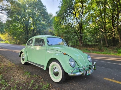 1964 Volkswagen Beetle 1200cc 6 Volt