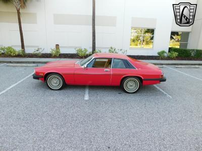 1977 Jaguar XJS