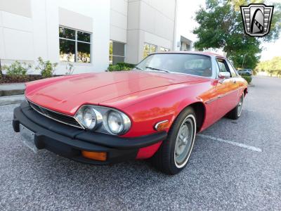 1977 Jaguar XJS