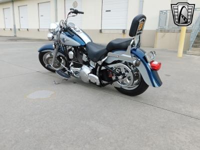 2001 Harley Davidson Soft Tail