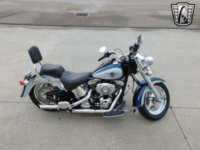 2001 Harley Davidson Soft Tail