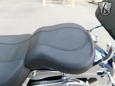 2001 Harley Davidson Soft Tail