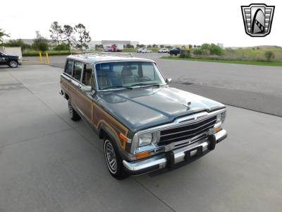 1990 Jeep Grand Wagoneer