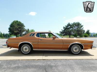 1976 Ford Elite