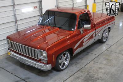 1978 Chevrolet Pickup