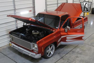 1978 Chevrolet Pickup