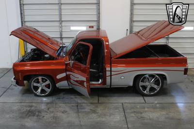 1978 Chevrolet Pickup