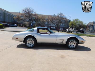 1979 Chevrolet Corvette