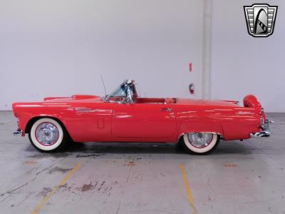 1956 Ford Thunderbird