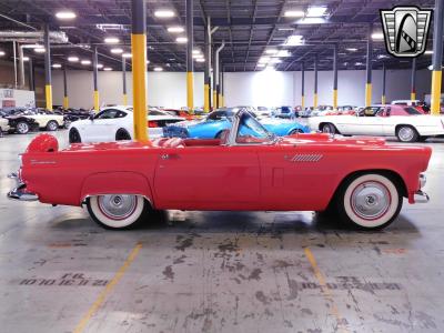 1956 Ford Thunderbird