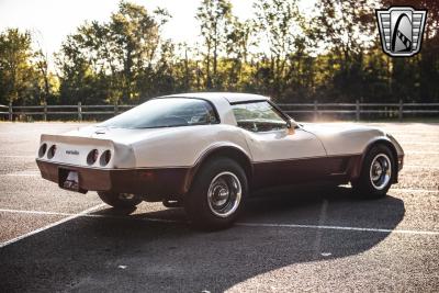 1981 Chevrolet Corvette