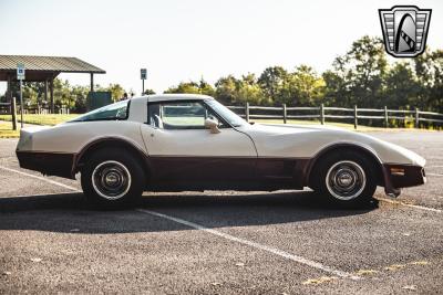 1981 Chevrolet Corvette