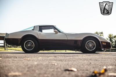 1981 Chevrolet Corvette