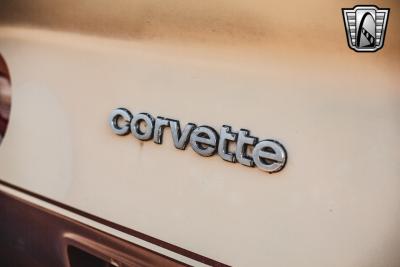 1981 Chevrolet Corvette