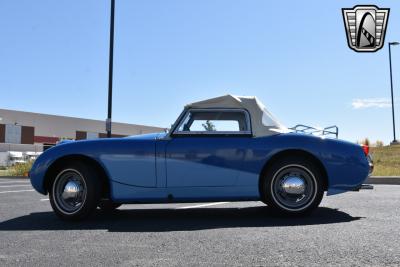 1959 Austin - Healey Sprite