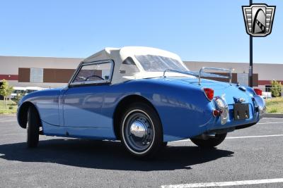 1959 Austin - Healey Sprite