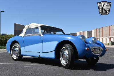 1959 Austin - Healey Sprite