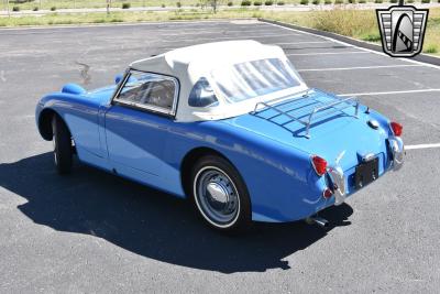 1959 Austin - Healey Sprite