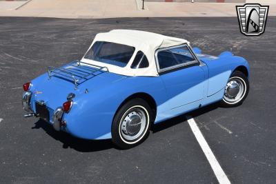 1959 Austin - Healey Sprite