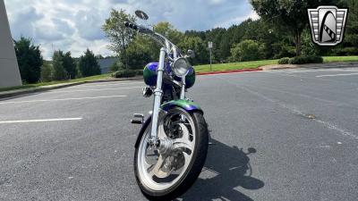 2009 EAST COAST CHOPPER Savage