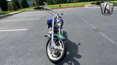 2009 EAST COAST CHOPPER Savage