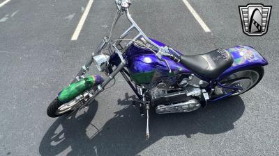 2009 EAST COAST CHOPPER Savage