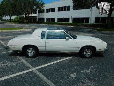 1980 Oldsmobile Cutlass