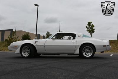 1979 Pontiac Firebird