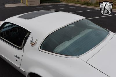 1979 Pontiac Firebird