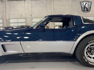 1979 Chevrolet Corvette