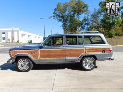 1991 Jeep Grand Wagoneer