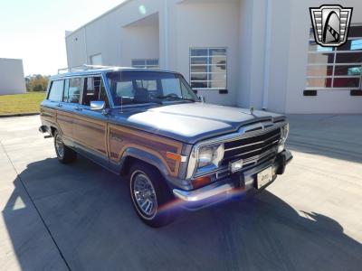 1991 Jeep Grand Wagoneer