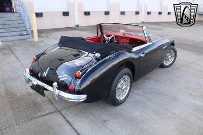 1965 Austin - Healey 3000