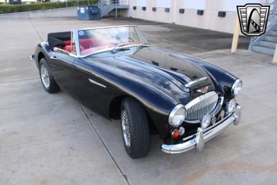 1965 Austin - Healey 3000