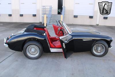 1965 Austin - Healey 3000