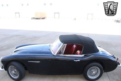 1965 Austin - Healey 3000