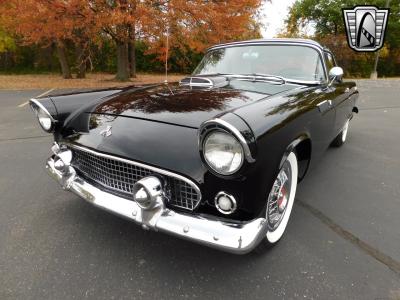 1955 Ford Thunderbird