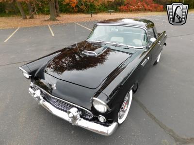 1955 Ford Thunderbird