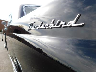 1955 Ford Thunderbird