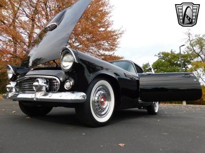 1955 Ford Thunderbird